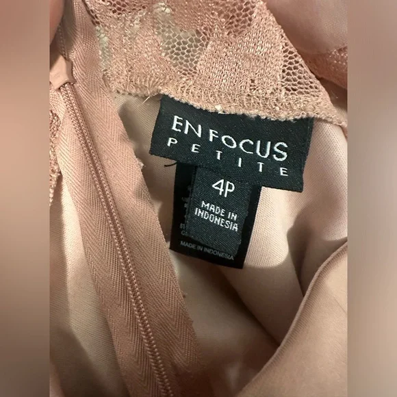 EUC‼️ Enfocus Studio Dusty Rose Sparkly Lace Dress. - Picture 5 of 8